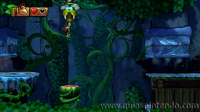Donkey Kong Country: Tropical Freeze