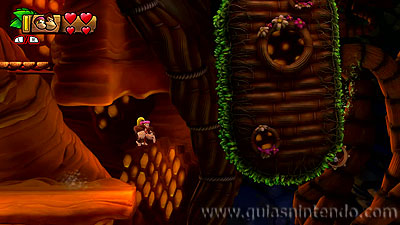 Donkey Kong Country: Tropical Freeze