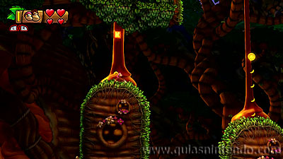 Donkey Kong Country: Tropical Freeze