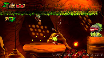 Donkey Kong Country: Tropical Freeze