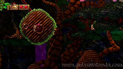 Donkey Kong Country: Tropical Freeze