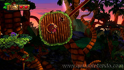 Donkey Kong Country: Tropical Freeze