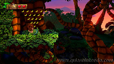 Donkey Kong Country: Tropical Freeze