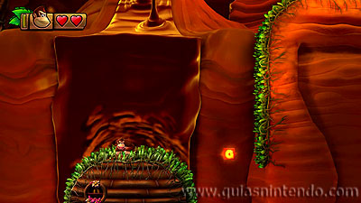 Donkey Kong Country: Tropical Freeze