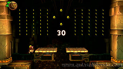 Donkey Kong Country: Tropical Freeze