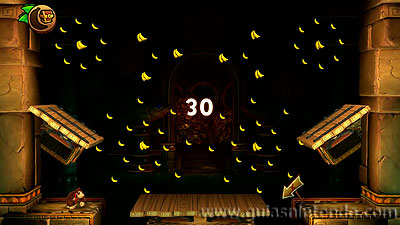 Donkey Kong Country: Tropical Freeze