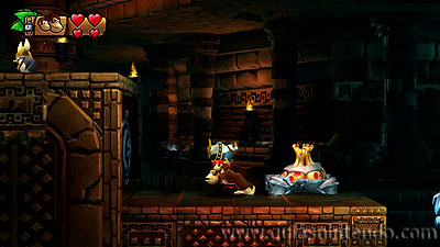 Donkey Kong Country: Tropical Freeze