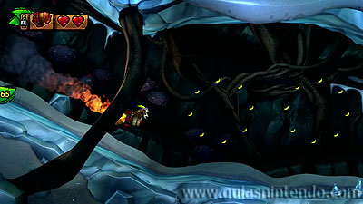 Donkey Kong Country: Tropical Freeze