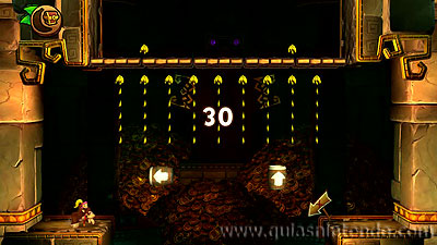 Donkey Kong Country: Tropical Freeze