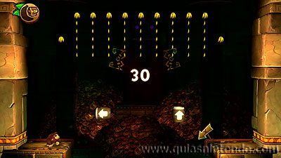 Donkey Kong Country: Tropical Freeze
