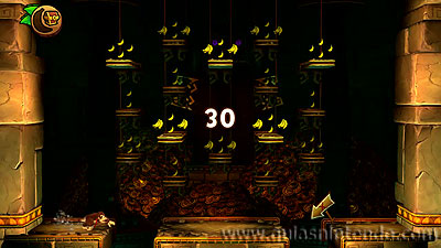 Donkey Kong Country: Tropical Freeze