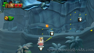 Donkey Kong Country: Tropical Freeze