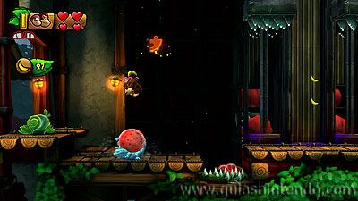 Donkey Kong Country: Tropical Freeze
