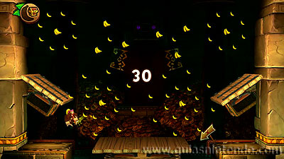 Donkey Kong Country: Tropical Freeze