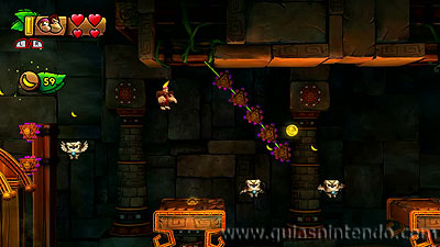 Donkey Kong Country: Tropical Freeze