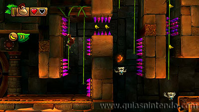 Donkey Kong Country: Tropical Freeze