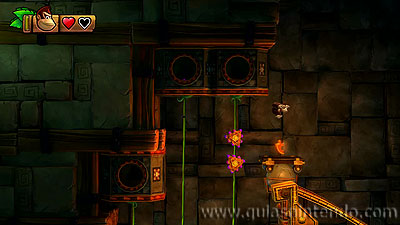 Donkey Kong Country: Tropical Freeze