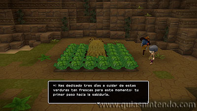 Guías Nintendo