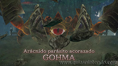 Hyrule Warriors: Definitive Edition