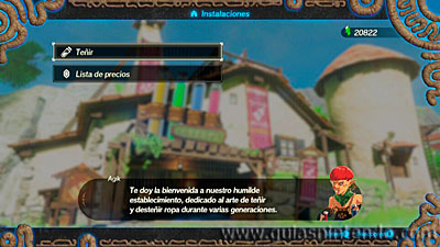 Hyrule Warriors: La era del cataclismo
