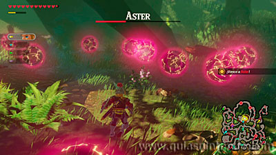 Hyrule Warriors: La era del cataclismo