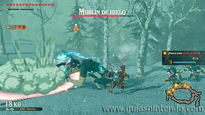 Hyrule Warriors: La era del cataclismo