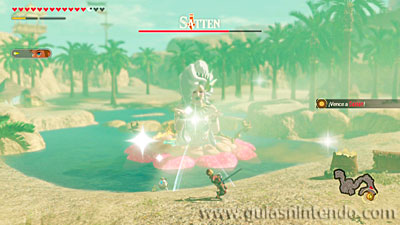 Hyrule Warriors: La era del cataclismo