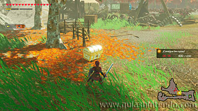 Hyrule Warriors: La era del cataclismo