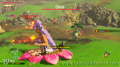 Hyrule Warriors: La era del cataclismo