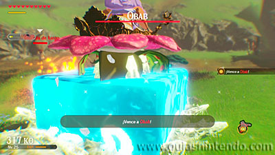 Hyrule Warriors: La era del cataclismo