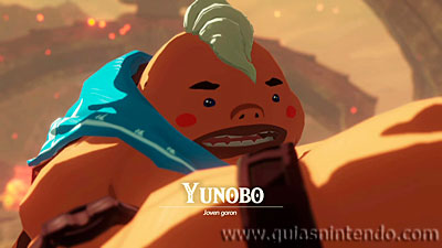 Hyrule Warriors: La era del cataclismo