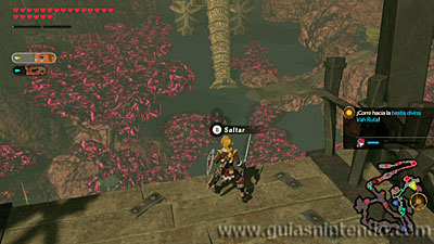 Hyrule Warriors: La era del cataclismo