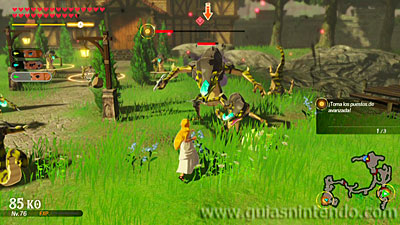 Hyrule Warriors: La era del cataclismo