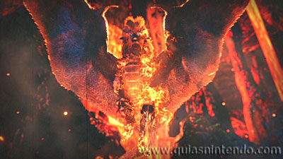 MONSTER HUNTER RISE
