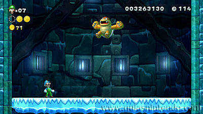 New Super Mario Bros. U Deluxe