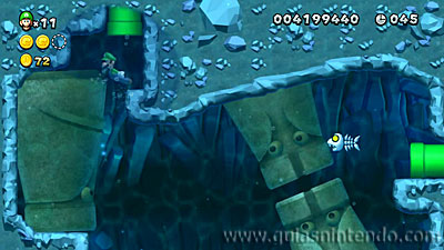 New Super Mario Bros. U Deluxe