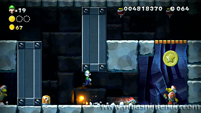 New Super Mario Bros. U Deluxe
