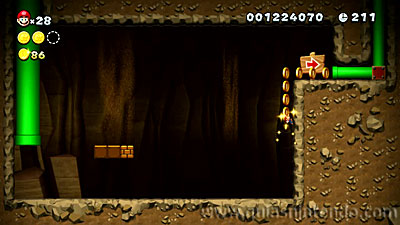 New Super Mario Bros. U Deluxe