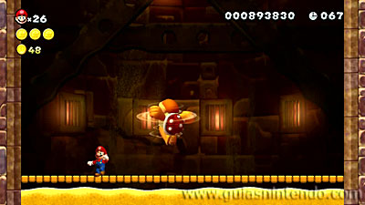 New Super Mario Bros. U Deluxe