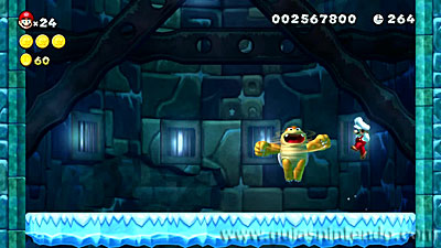 New Super Mario Bros. U Deluxe