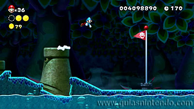 New Super Mario Bros. U Deluxe