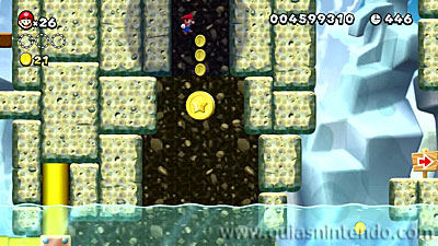 New Super Mario Bros. U Deluxe