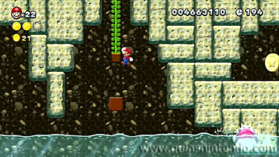 New Super Mario Bros. U Deluxe