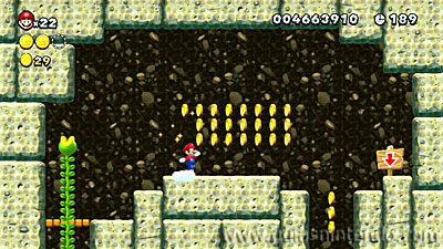 New Super Mario Bros. U Deluxe