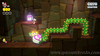 Super Mario 3D World + Bowser's Fury