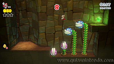 Super Mario 3D World + Bowser's Fury