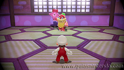 Super Mario 3D World + Bowser's Fury