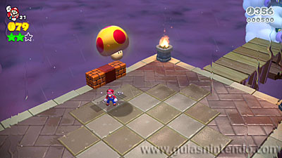 Super Mario 3D World + Bowser's Fury