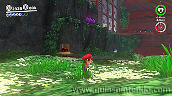 Super Mario Odyssey