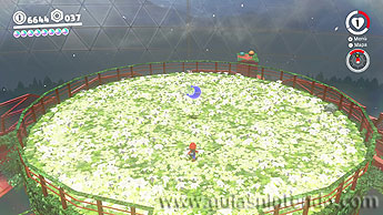 Super Mario Odyssey